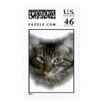 Cat postage