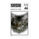 Cat Postage Stamp
