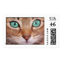 cat postage