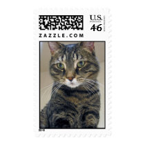 Cat Postage postage