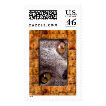 Cat Postage