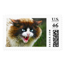 CAT postage