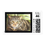 cat postage postage