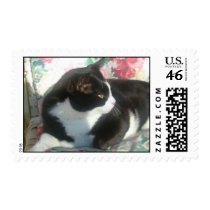 Cat Postage postage by squirrel27 Cat Postage postage