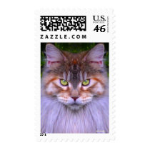 CAT stamps