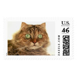 CAT postage