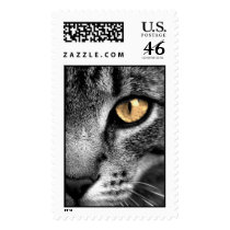 Cat postage