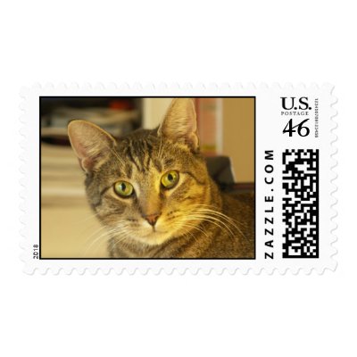Cat Stamps by caritojames