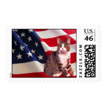 Cat Postage All American