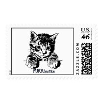 Cat Postage Purrfection