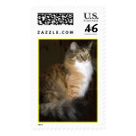 Cat Postage Stamp
