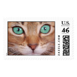 cat postage stamp