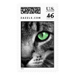 Cat Postage Stamp
