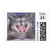 CAT Postage Stamps #1 by RookyStudios CAT Postage Stamps #1