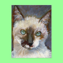 Cat Postcard by Bystillwaters Cat Postcard