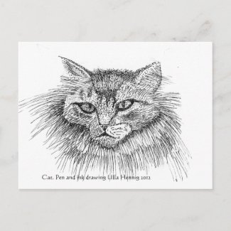 Cat Postcard postcard