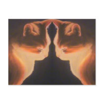 Cat Postcard