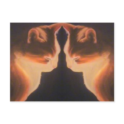 Cat Postcard by Artistesque