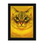 Cat Postcards