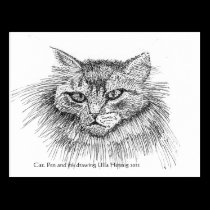 Cat Postcard postcards