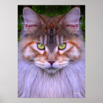 CAT posters