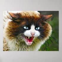 CAT posters