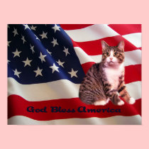 Cat Poster All American posters