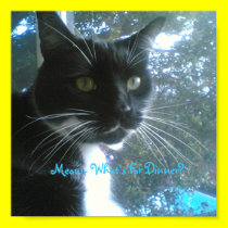 Cat poster - Customized posters