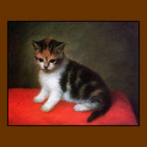 Cat Poster: Kitten Painting by George Stubbs posters