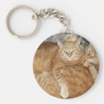 Cat Potatoes Key Chains
