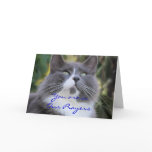 Cat Prayer card-change for any occasion