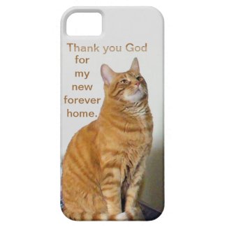 Cat Prayer Thank you God For My New Forever Home