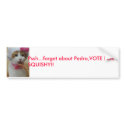 cat, Pssh...forget about Pedro,VOTE FOR SQUISHY!! bumper stickers by Razzeldazzle44 cat, Pssh...forget about Pedro,VOTE FOR SQUISHY!! bumper stickers