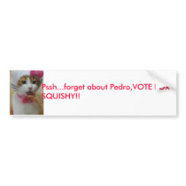 cat, Pssh...forget about Pedro,VOTE FOR SQUISHY!! bumper stickers by Razzeldazzle44 cat, Pssh...forget about Pedro,VOTE FOR SQUISHY!! bumper stickers