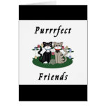 Cat Purrrfect Friends Cards