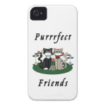 Purrfect Friends Cats