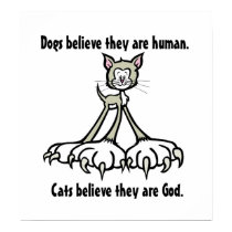 Cat Quotes 1 posters by WildButterflyDesigns Cat Quotes 1 posters