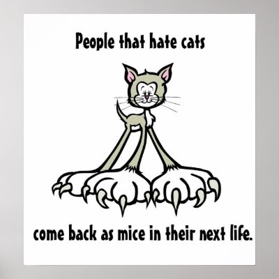 funny cat quotes. funny cat quotes funny