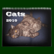 Cat Quotes Calendar 2010