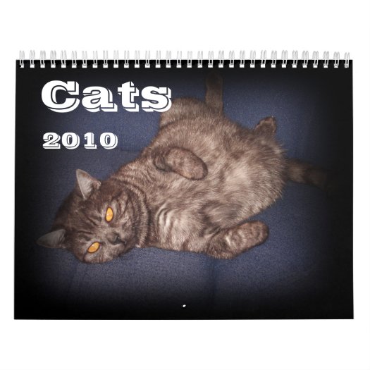 Cat Quotes Calendar 2010 calendar
