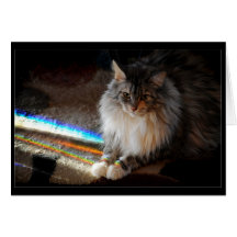 Cat Rainbow Bridge condolence note or greeting Cards