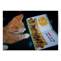 Cat reading card
