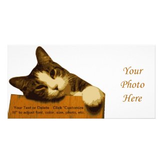 Cat Reclining Photo Cards photocard