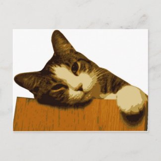 Cat Reclining Post Card postcard