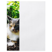 Cat Relaxing in Garden Custom Flyer