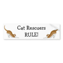 Cat Rescuers Rule Bumper Sticker