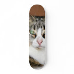 Cat Resting Skateboard Decks