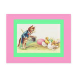 Cat Ringmaster & Easter Chicks Postcard