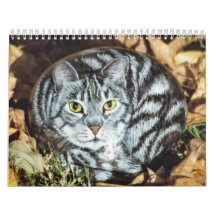 Cat Rock 2011 Calendar