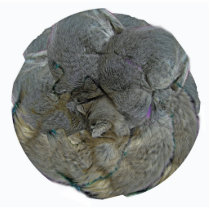 Cat Round - Ornament photo sculptures